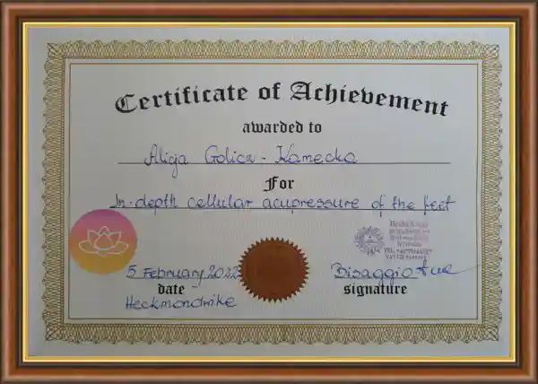 acupressure certification large